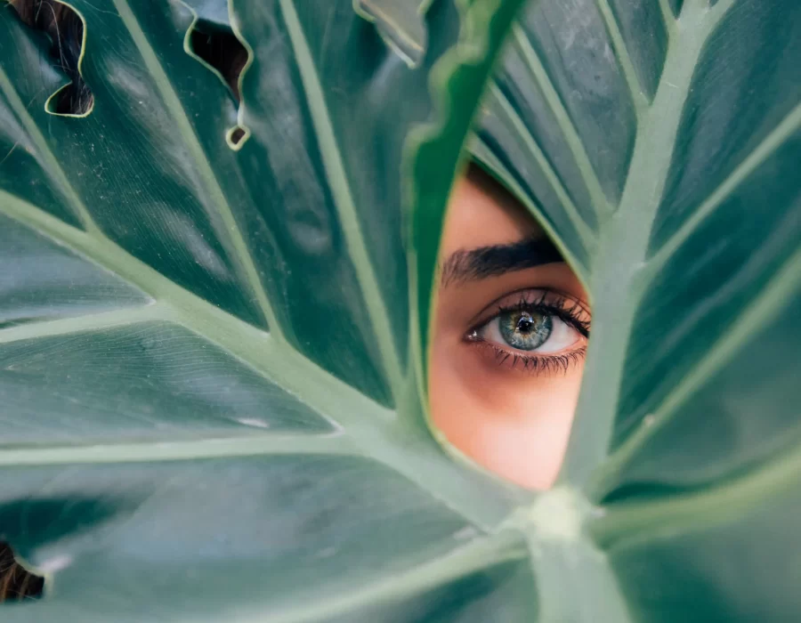drew-graham-cTKGZJTMJQU-unsplash